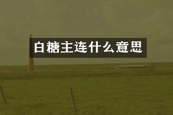 白糖主连什么意思