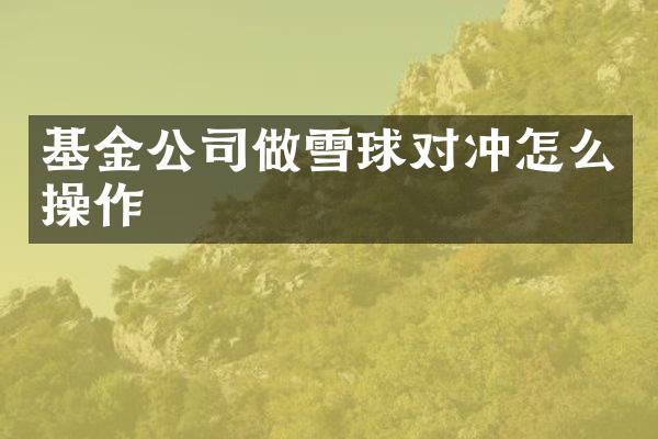 基金公司做雪球对冲怎么操作