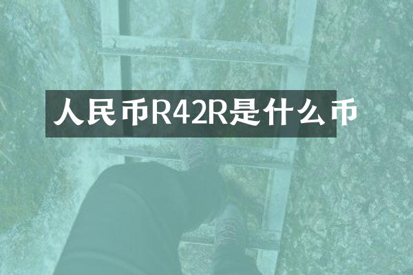 人民币R42R是什么币