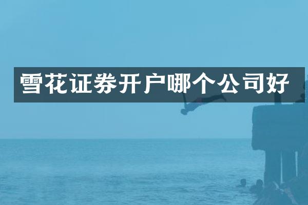 雪花证券开户哪个公司好