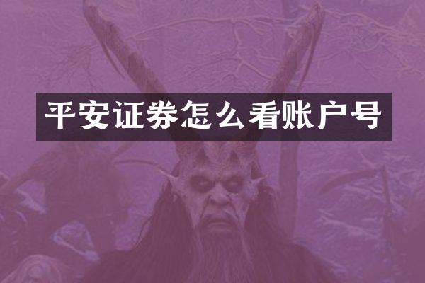 平安证券怎么看账户号