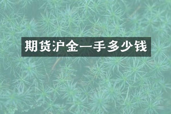 期货沪金一手多少钱