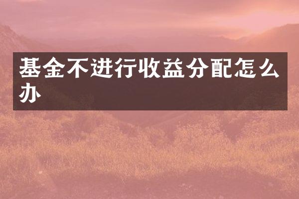 基金不进行收益分配怎么办