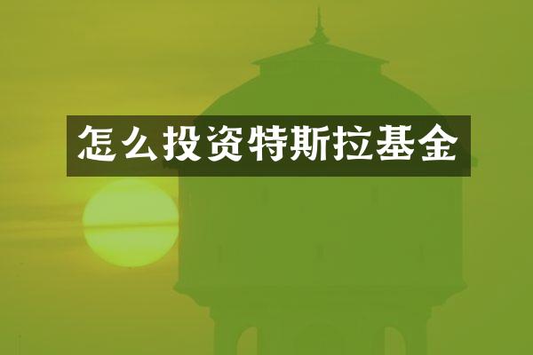 怎么投资特斯拉基金