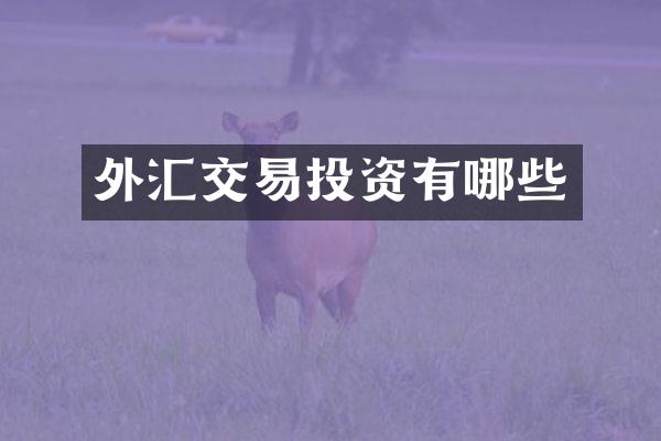 外汇交易投资有哪些