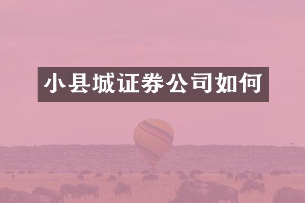 小县城证券公司如何