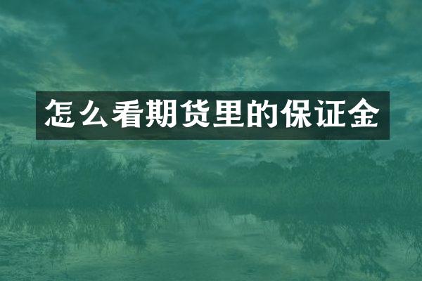 怎么看期货里的保证金