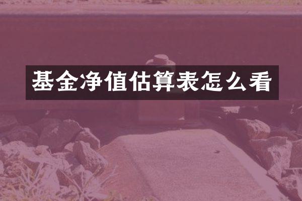 基金净值估算表怎么看