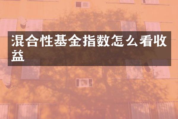 混合性基金指数怎么看收益