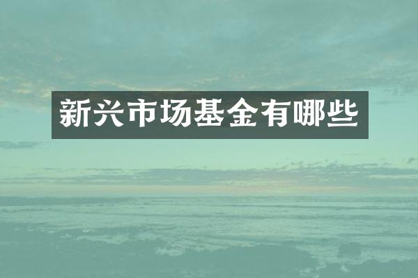 新兴市场基金有哪些