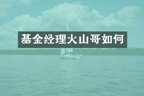 基金经理火山哥如何