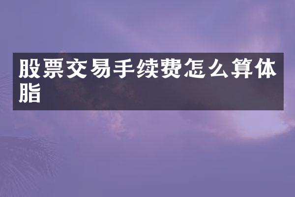 股票交易手续费怎么算体脂