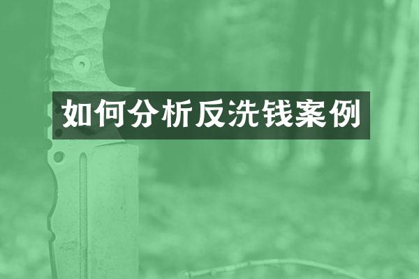 如何分析反洗钱案例