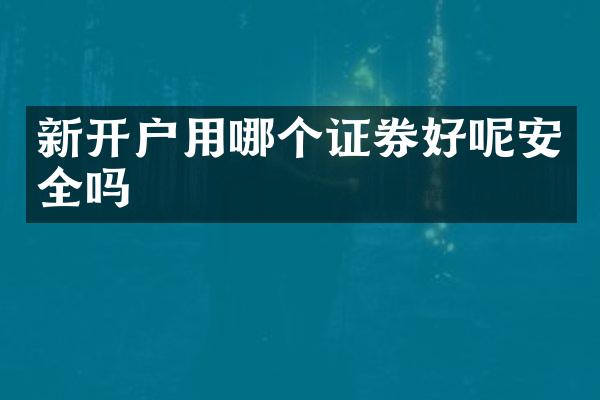 新开户用哪个证券好呢安全吗