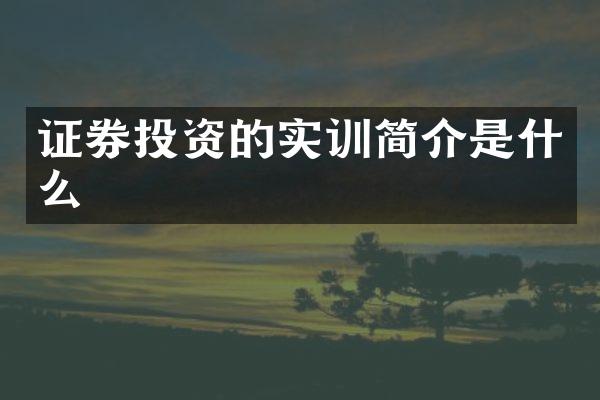 证券投资的实训简介是什么