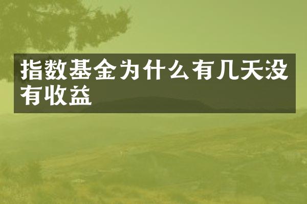 指数基金为什么有几天没有收益