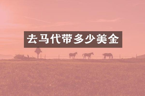 去马代带多少美金