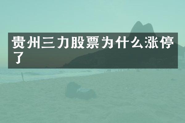 贵州三力股票为什么涨停了