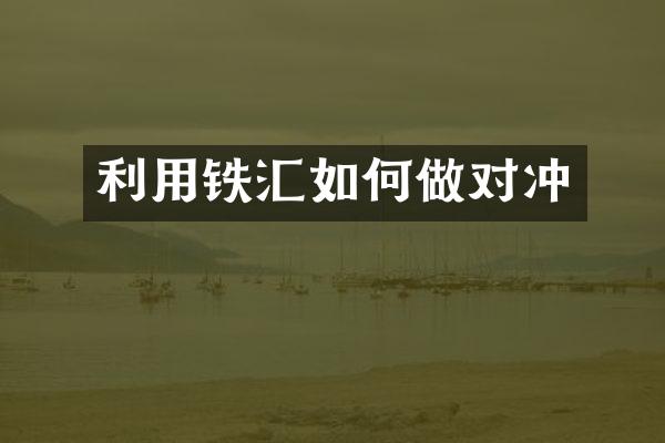利用铁汇如何做对冲