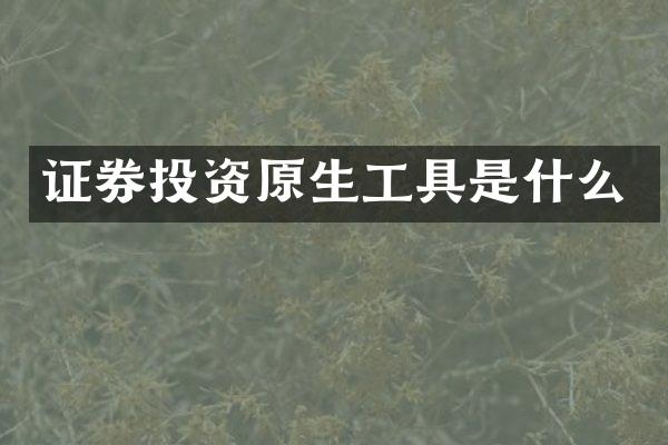 证券投资原生工具是什么