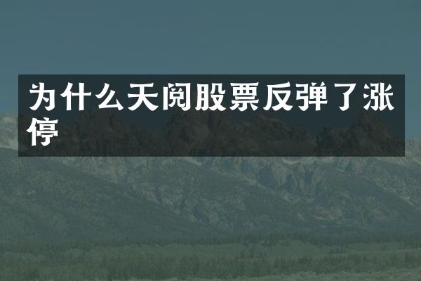 为什么天阅股票反弹了涨停