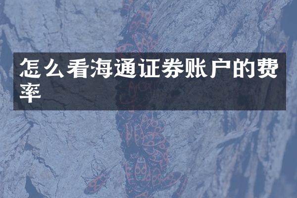 怎么看海通证券账户的费率