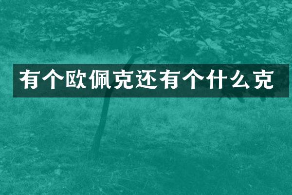 有个欧佩克还有个什么克