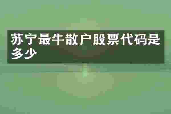 苏宁最牛散户股票代码是多少