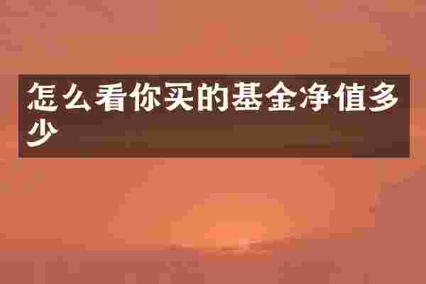 怎么看你买的基金净值多少