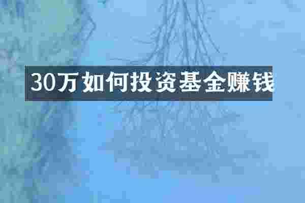 30万如何投资基金赚钱