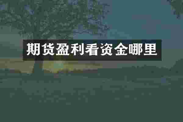 期货盈利看资金哪里