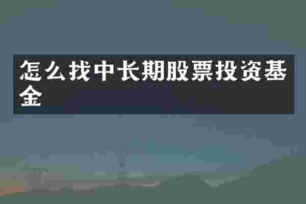 怎么找中长期股票投资基金