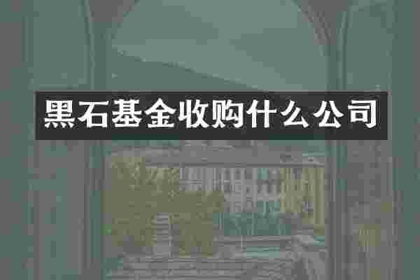 黑石基金收购什么公司