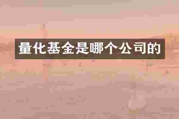 量化基金是哪个公司的