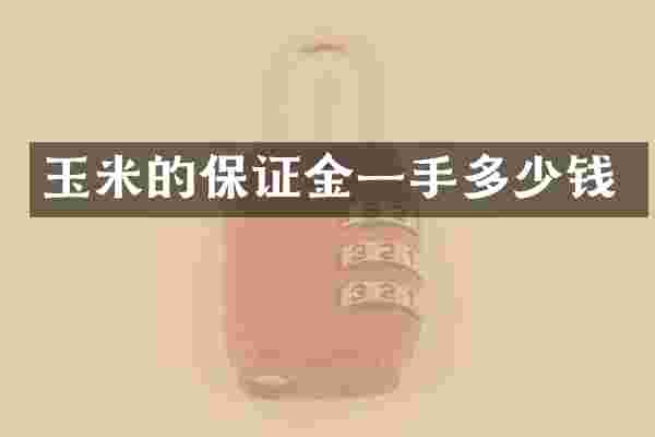 玉米的保证金一手多少钱