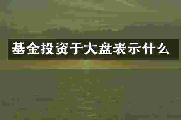 基金投资于大盘表示什么