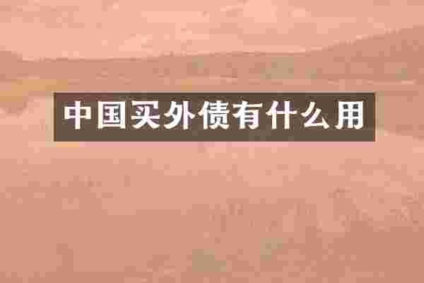 中国买外债有什么用