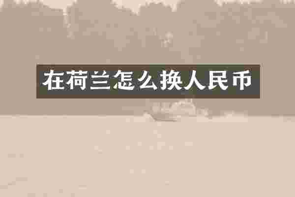 在荷兰怎么换人民币