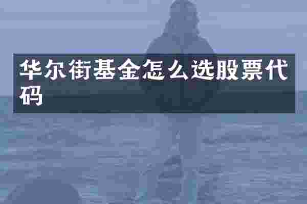 华尔街基金怎么选股票代码