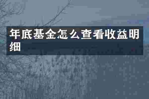 年底基金怎么查看收益明细