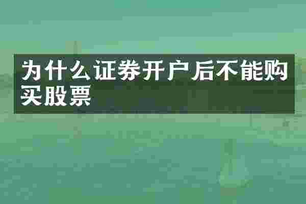 为什么证券开户后不能购买股票