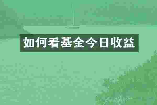 如何看基金今日收益