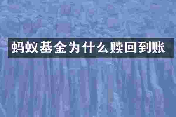 蚂蚁基金为什么赎回到账