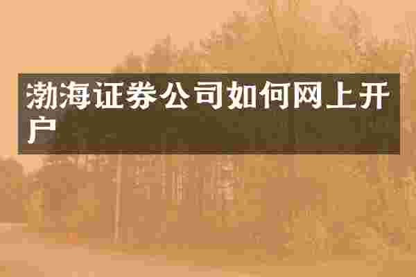 渤海证券公司如何网上开户
