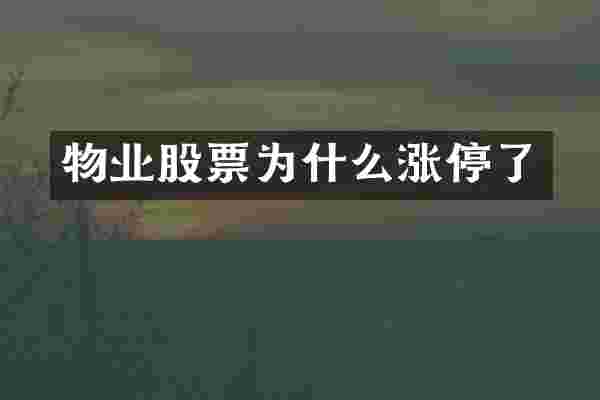 物业股票为什么涨停了