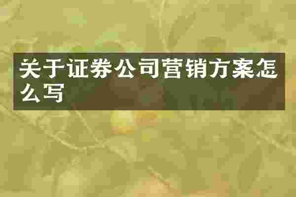 关于证券公司营销方案怎么写