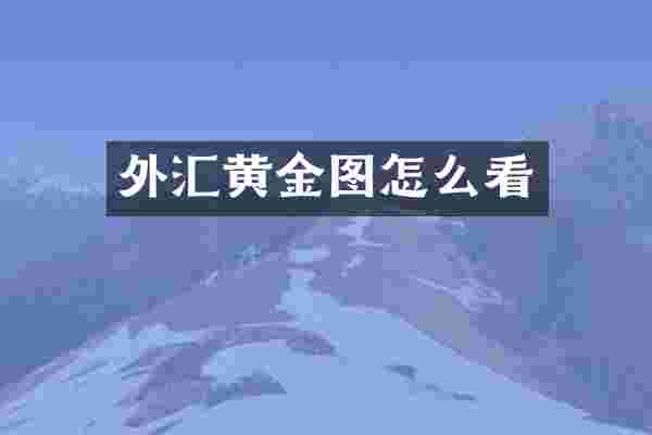 外汇黄金图怎么看