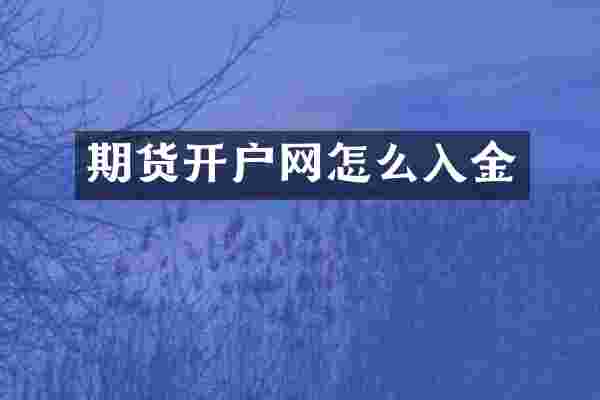 期货开户网怎么入金