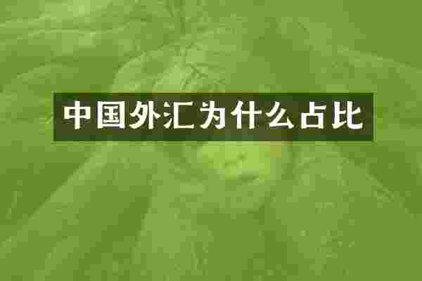 中国外汇为什么占比