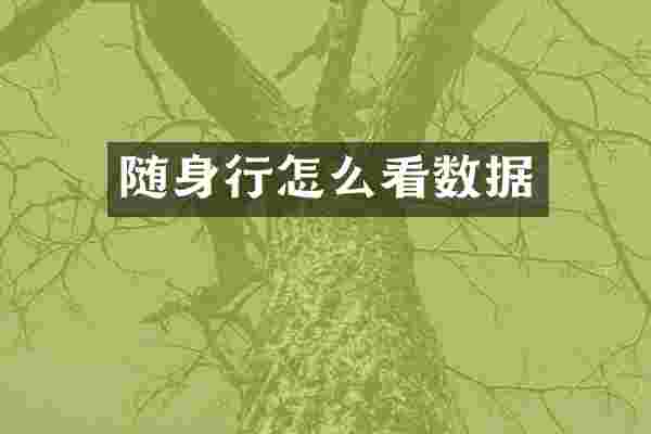 随身行怎么看数据